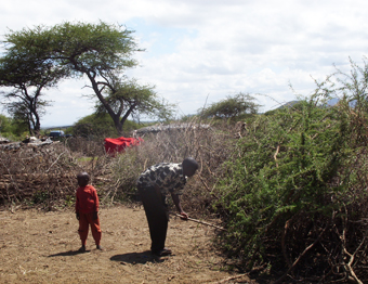 A man strengthens his boma