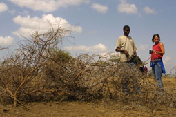 a broken boma