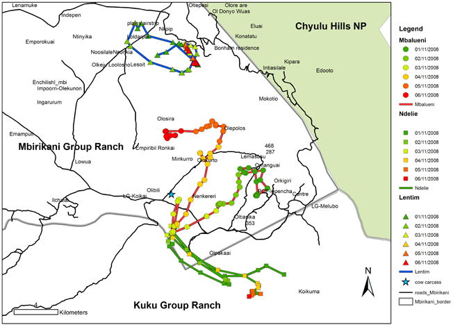 Map showing the tracks of 3 GPS-collared lions