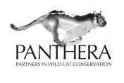 Panthera
