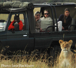 Tourists watch wildlife